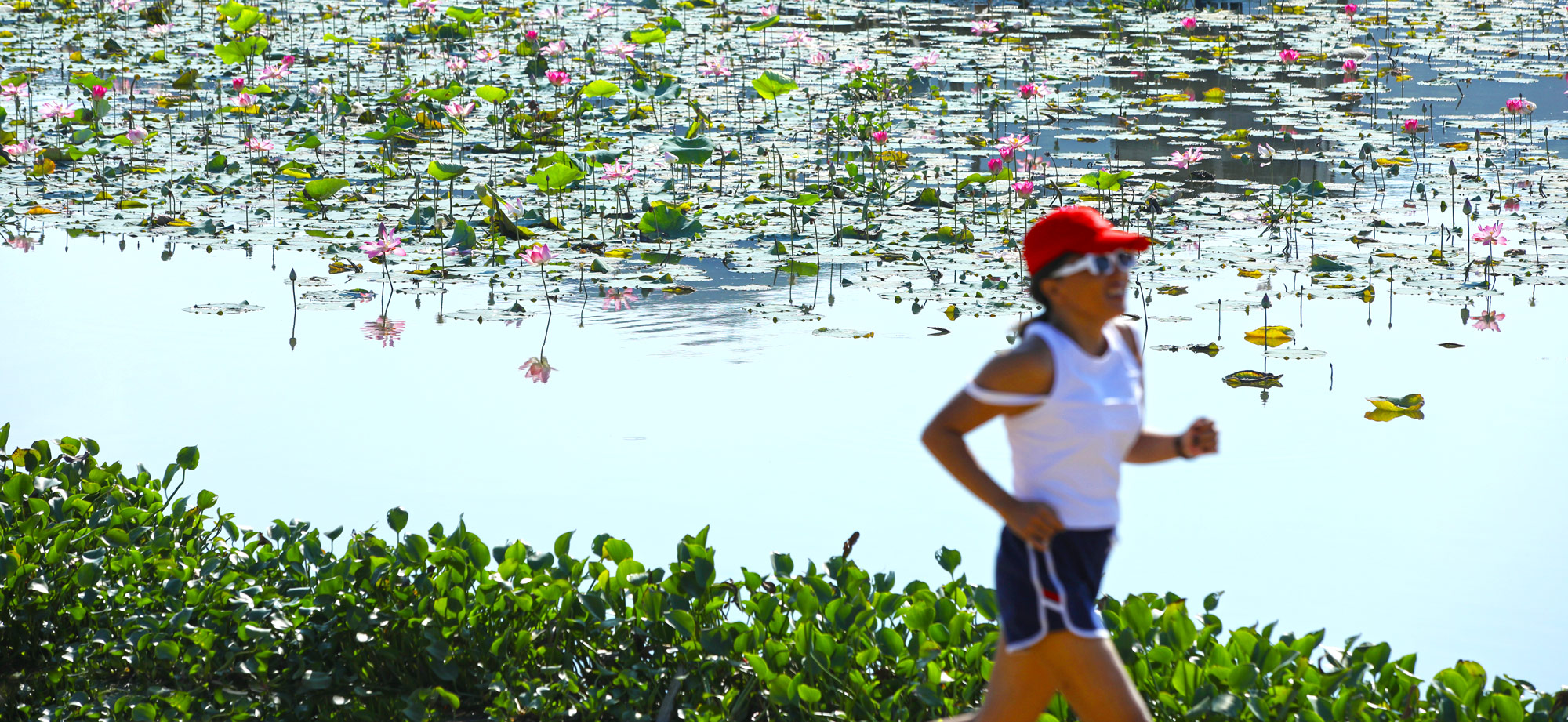 Công viên ven hồ